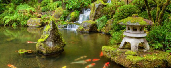 庭院鱼池风水讲究与禁忌