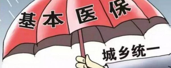 地方农村医保缴费标准