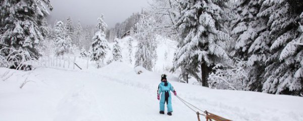 为什么很多人不清理车上雪