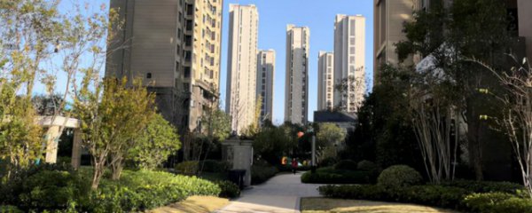 小区楼长职责和作用是什么