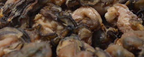 牡蛎干怎么做好吃