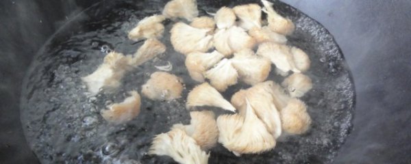 猴头菇怎样做好吃