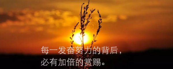 每一天努力坚持的句子