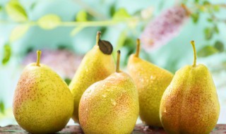 雪梨燕麦粥的做法大全 梨粥如何做 如何做梨粥