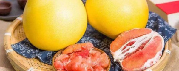 立冬水果吃什么好