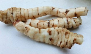 虫草参怎么吃 地参的吃法 地参的吃法介绍