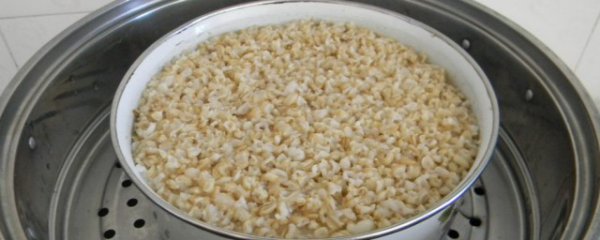 麦米怎么做好吃