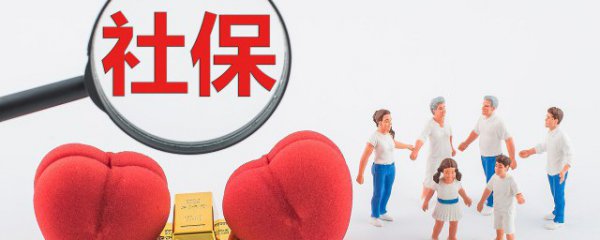 养老保险缴费申报月基数