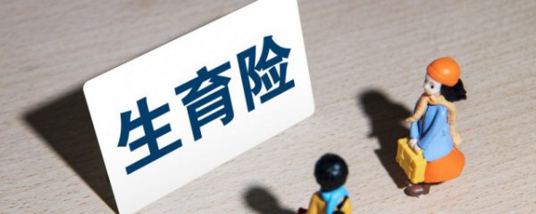 生育险和生育津贴是一回事吗