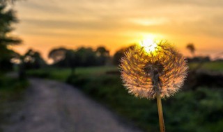 优美语句摘抄大全 优美语句 优美语句精选