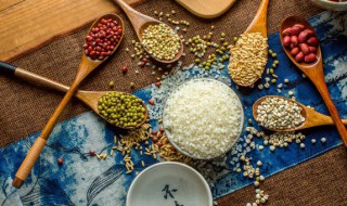 家里到处爬米虫怎么办 家里到处爬米虫的解决方法