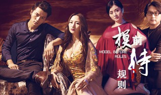 肖明文珊珊是什么电视剧 肖明文珊珊演的电视剧