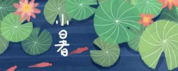 关于小暑的前后节气
