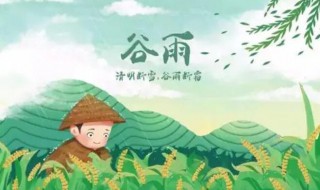 谷雨的節(jié)氣特點(diǎn)