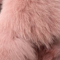 鉴别狐狸毛方法 狐狸脚毛和腹毛哪个好