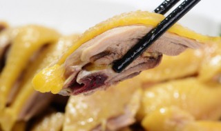 正宗咖喱鸡肉的做法 怎么做咖喱鸡肉
