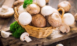 水煮菌菇的做法 水煮蘑菇做法 水煮蘑菇如何做