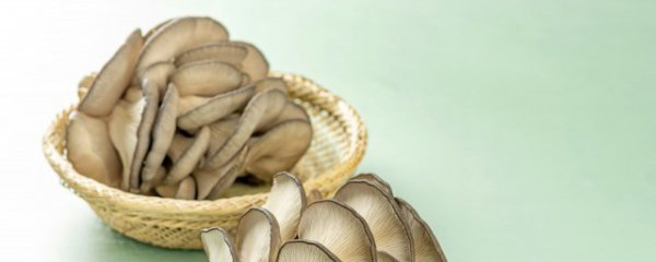 蘑菇烧鸡做法