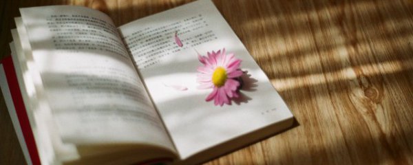 中国传统文化是以什么文化为主体