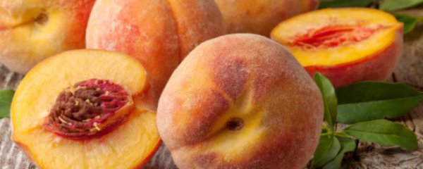 当季水果有哪些8月