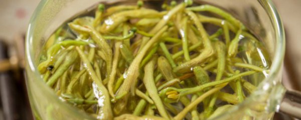 金银花怎么吃好