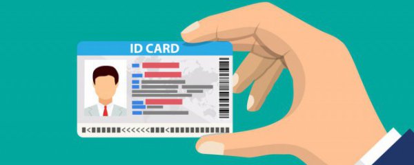 (S-F-Z)类型是什么