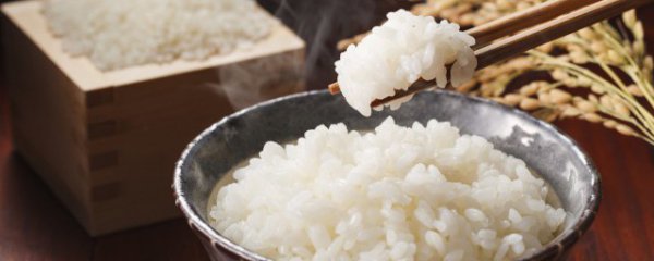 蒸米饭用大火还是小火