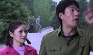 电视剧陆国明被打是哪一集 陆国明被打是多少集
