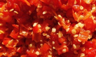 剁辣椒蒜蓉的做法大全 剁辣椒蒜蓉的教程大全