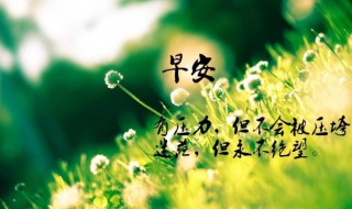 人生最具正能量的句子 人生最具正能量的句子推荐