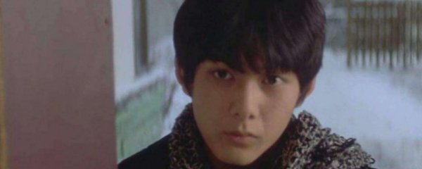藤井树是什么意思