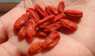 枸杞减肥怎么吃最好 枸杞减肥如何食用