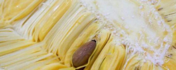 整个菠萝蜜的吃法技巧