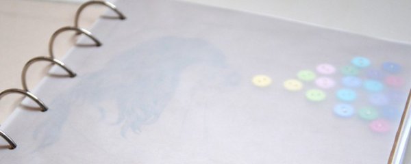硫酸纸的用法