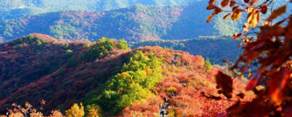 北京香山红叶什么时候红