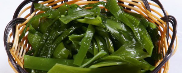 海白菜的做法大全