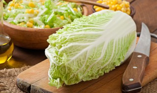 白菜做法大全家常菜 白菜的烹饪方法