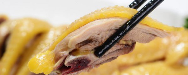 炖鸡肉怎么炖好吃