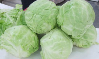 包菜可不可以生吃 能不能生吃包菜