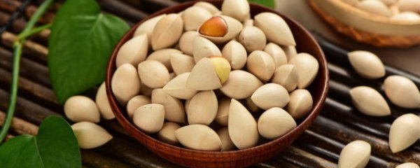 银杏果怎么做好吃