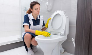 大便把马桶堵了怎么办 大便把马桶堵了怎么解决