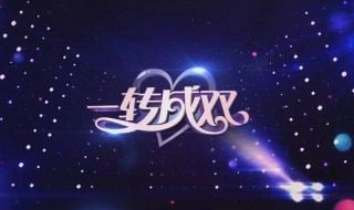 一转成双丁刚是哪一期 一转成双节目介绍