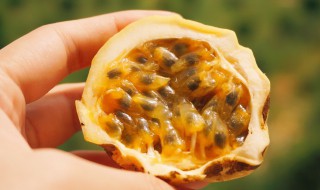 鸡蛋果籽怎么种 鸡蛋果籽的种植方法