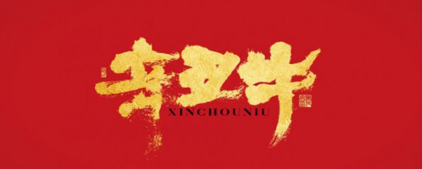 辛丑年是啥意思