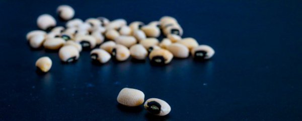 煮豆子怎么做好吃