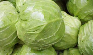 干锅手撕包菜正宗做法 怎么做干锅手撕包菜