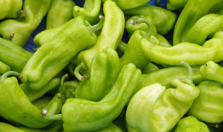 四川青剁椒的正宗做法 四川青剁椒怎么做