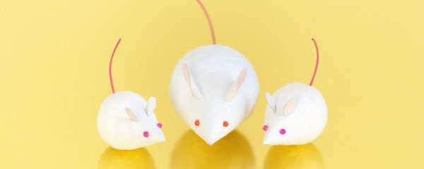 做梦梦到被老鼠咬了寓意是什么