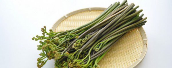 蕨菜做法