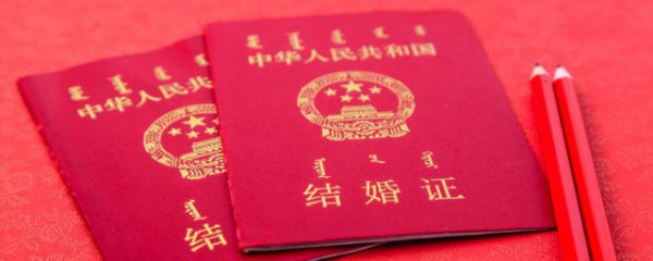结婚证上的花卉是什么花